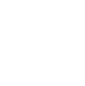moving companies essex